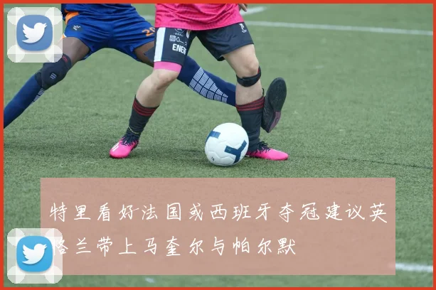 特里看好法国或西班牙夺冠建议英格兰带上马奎尔与帕尔默