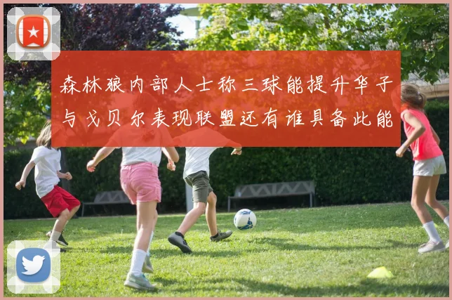 森林狼内部人士称三球能提升华子与戈贝尔表现联盟还有谁具备此能力