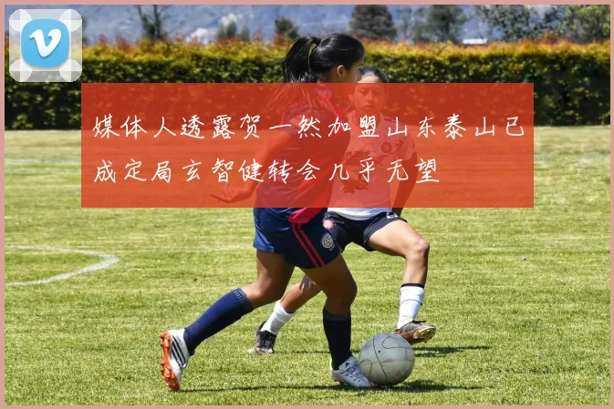 媒体人透露贺一然加盟山东泰山已成定局玄智健转会几乎无望